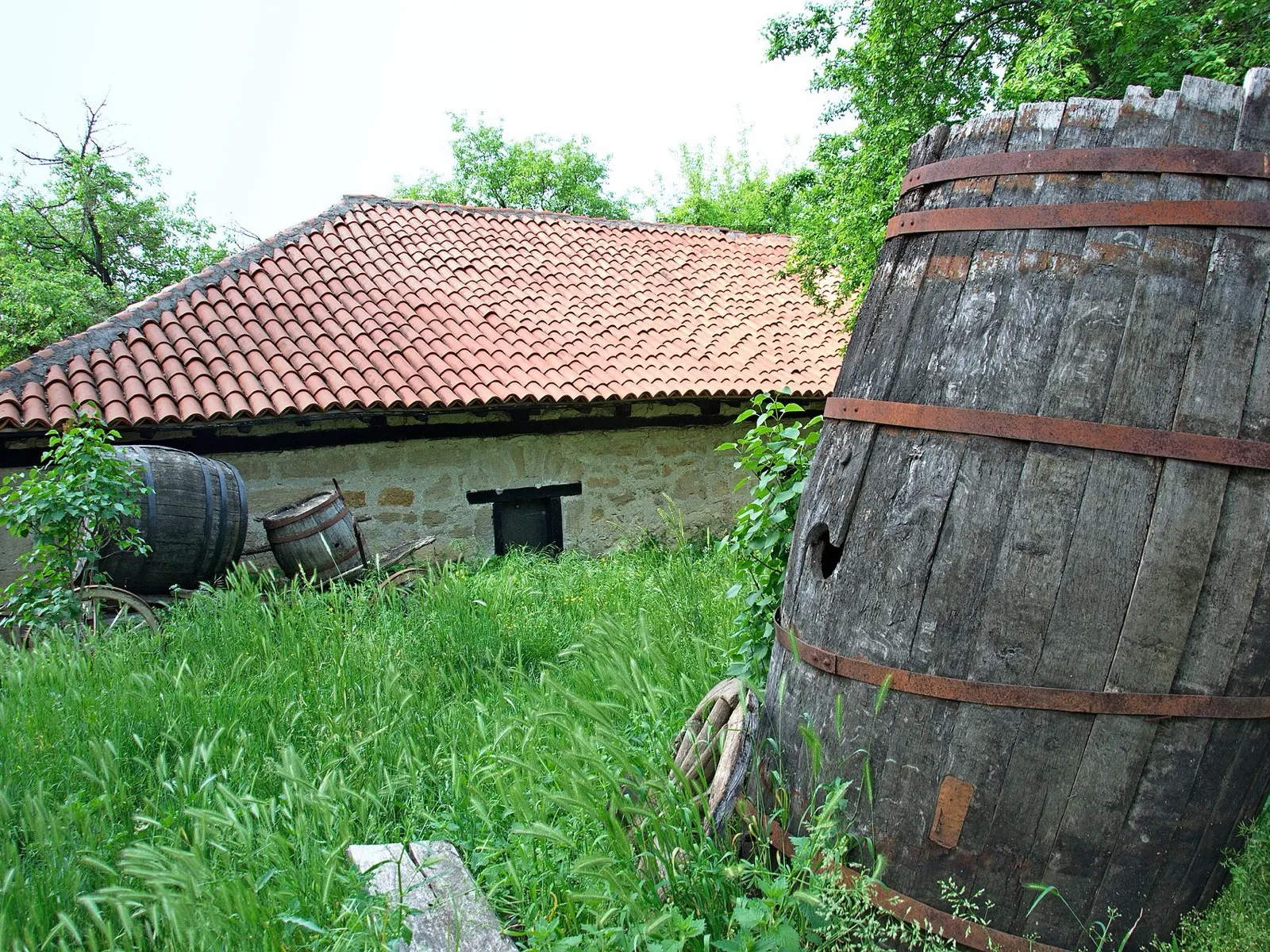 Steinerne Weinkellerhäuser im Kellerdorf Rogljevo in der Negotinska Krajina